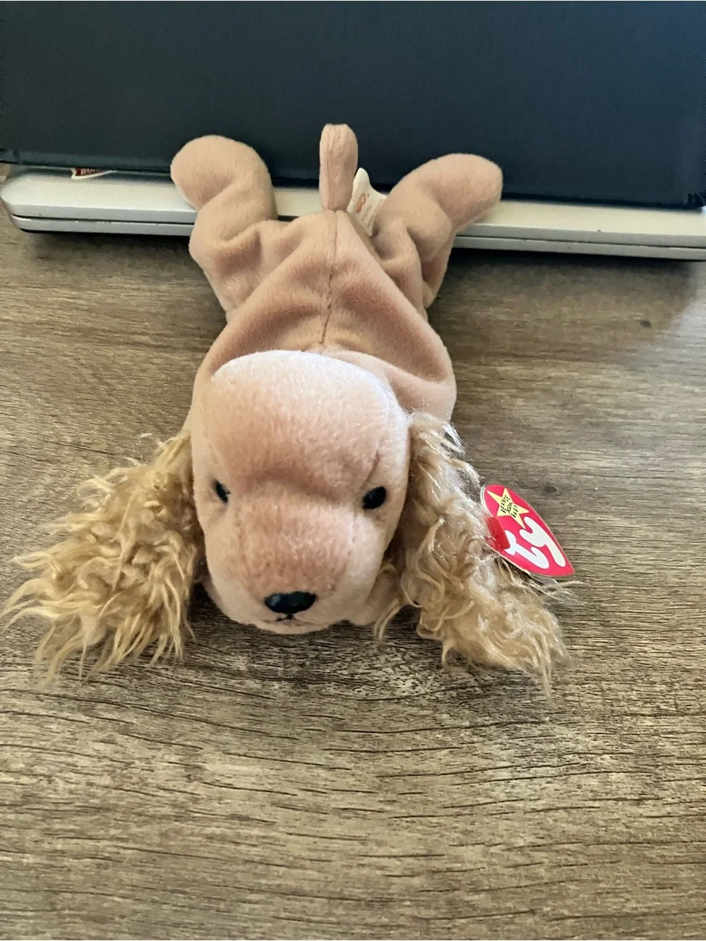 Ty Beanie Baby Beige Plush Cocker Spaniel Dog Toy Spunky